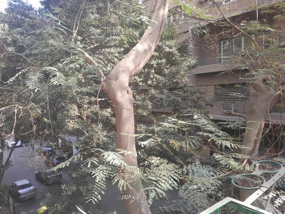 Nabiha, Zamalek *